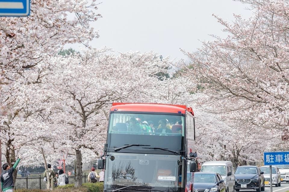4-22.jpg