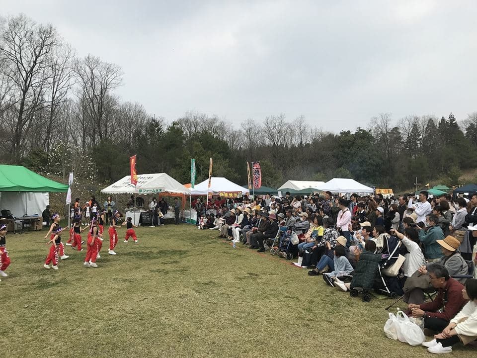 4-20.jpg